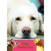 Golden Labrador Mother's Day Card