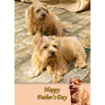 Norfolk Terrier Father's Day Card