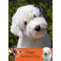 Old English Sheepdog Mother's Day Card