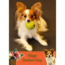 Papillon Mother's Day Card