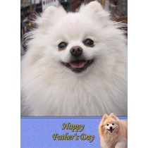Pomeranian Father's Day Card