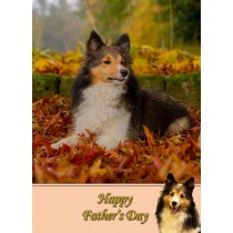 Shetland Sheepdog Father's Day Card