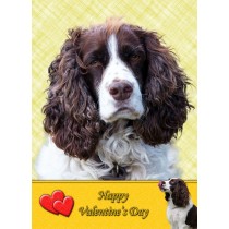 Springer Spaniel Valentine's Day Card
