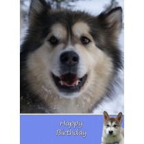 Alaskan Malamute Dog Birthday Card