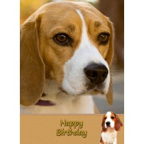 Beagle Dog Birthday Card