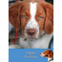 Brittany Dog Birthday Card