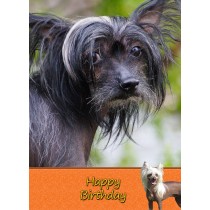 Chinese Crested Dog Birthday Card