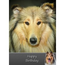 Rough Collie Birthday Card