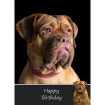 Dogue De Bordeaux Birthday Card