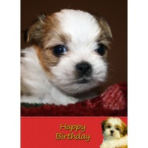 Shih Tzu Birthday Card