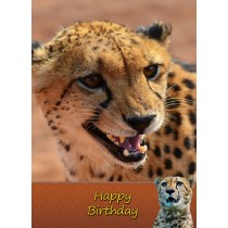 Cheetah Birthday Card