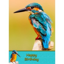 Kingfisher Birthday Card