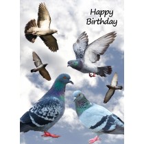 Racing Homing Pigeon Birthday Card
