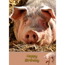 Pig Birthday Card