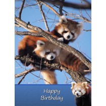 Red Panda Birthday Card