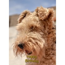 Airedale Birthday Card