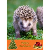 Hedgehog christmas card
