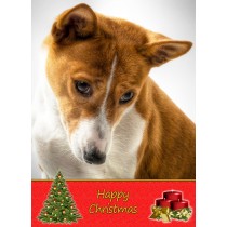 Basenji Christmas Card