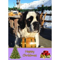 St Bernard Christmas Card