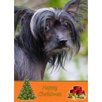 Chinese Crested Christmas Card