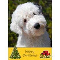 Old English Sheepdog christmas card