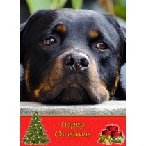 Rottweiler christmas card