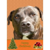 Staffordshire Bull Terrier christmas card