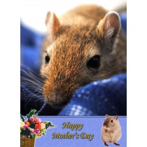 Gerbil Mother's Day Card