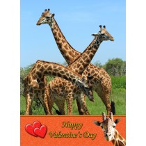 Giraffe Valentine's Day Card