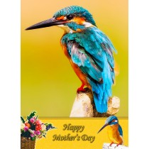 Kingfisher Mother's Day Card