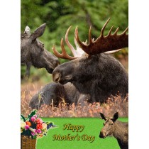 Moose Mother's Day Card