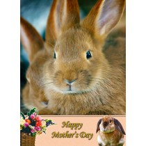 Rabbit Mother's Day Card