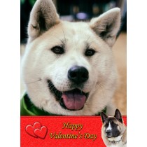 Akita Valentine's Day Card