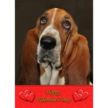 Basset Hound Valentine's Day Card