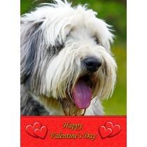 Bearded Collie Valentine's Day Card