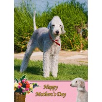 Bedlington Terrier Mother's Day Card