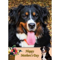 Bernese Mountain Dog Mother's Day Card
