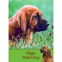 Bloodhound Father's day card
