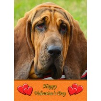 Bloodhound Valentine's Day Card