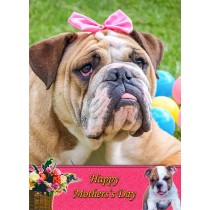 Bulldog Mother's Day Card