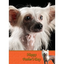 Chinese Crested Father's Day Card