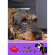 Dachshund Valentine's Day Card