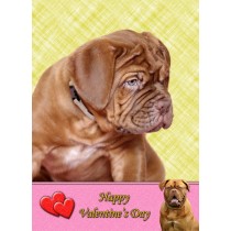 Dogue de Bordeaux Valentine's Day Card