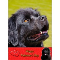 New Foundland Valentine's Day Card
