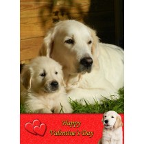 Golden Retriever Valentine's Day Card