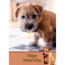 Norfolk Terrier Father's Day Card