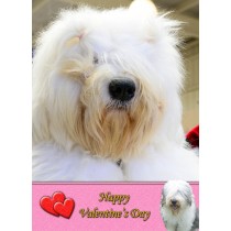 Old English Sheepdog Valentine's Day Card