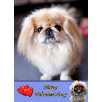 Pekingese Valentine's Day Card