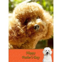 Poodle Father's Day Card