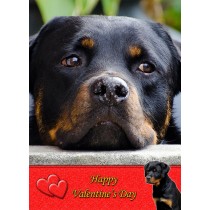 Rottweiler Valentine's Day Card